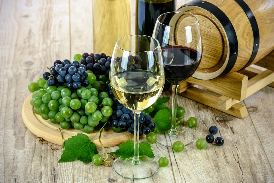 Voyage en Suède : une destination inattendue pour les amateurs de vin