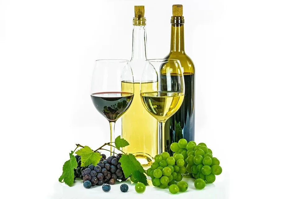 La formation avancée wset 3 : description, objectif et financement