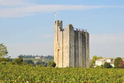 Saint emilion vin