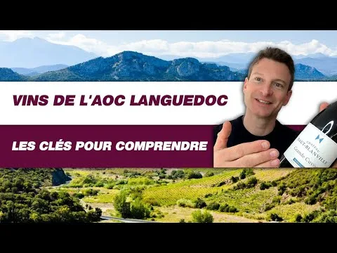 Pourquoi le Languedoc Roussillon produit-il les meilleurs vins ?