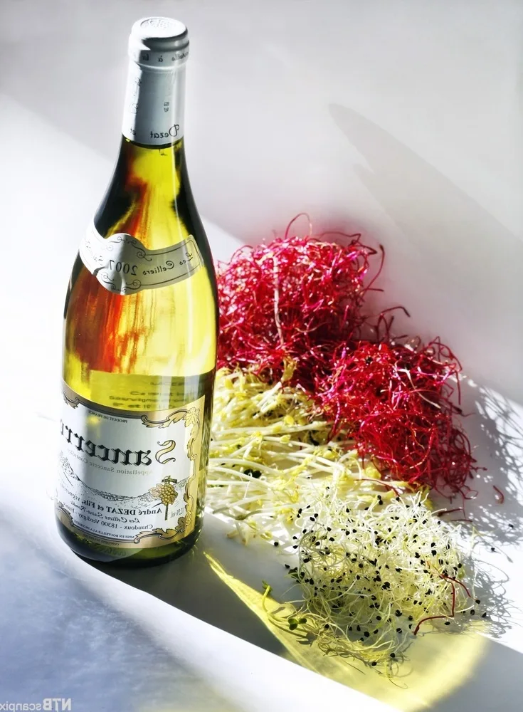 Comment choisir un bon vin blanc ?