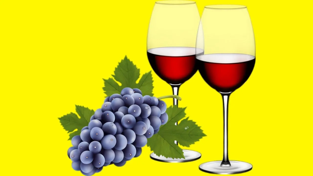 Quels sont les meilleurs vins rouges du monde?