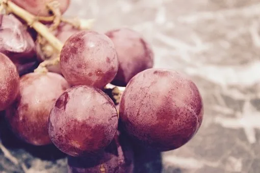 Est-ce que le Gewurztraminer est un vin blanc sec ?