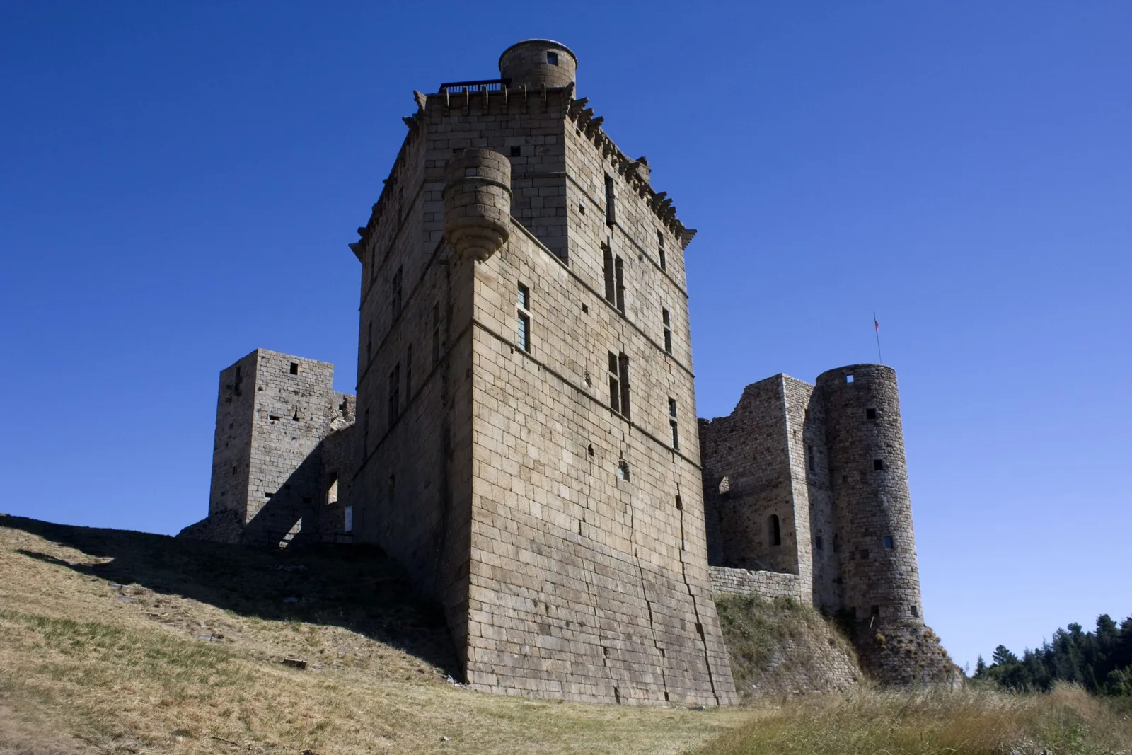 Quel vin choisir pour sa cave ?