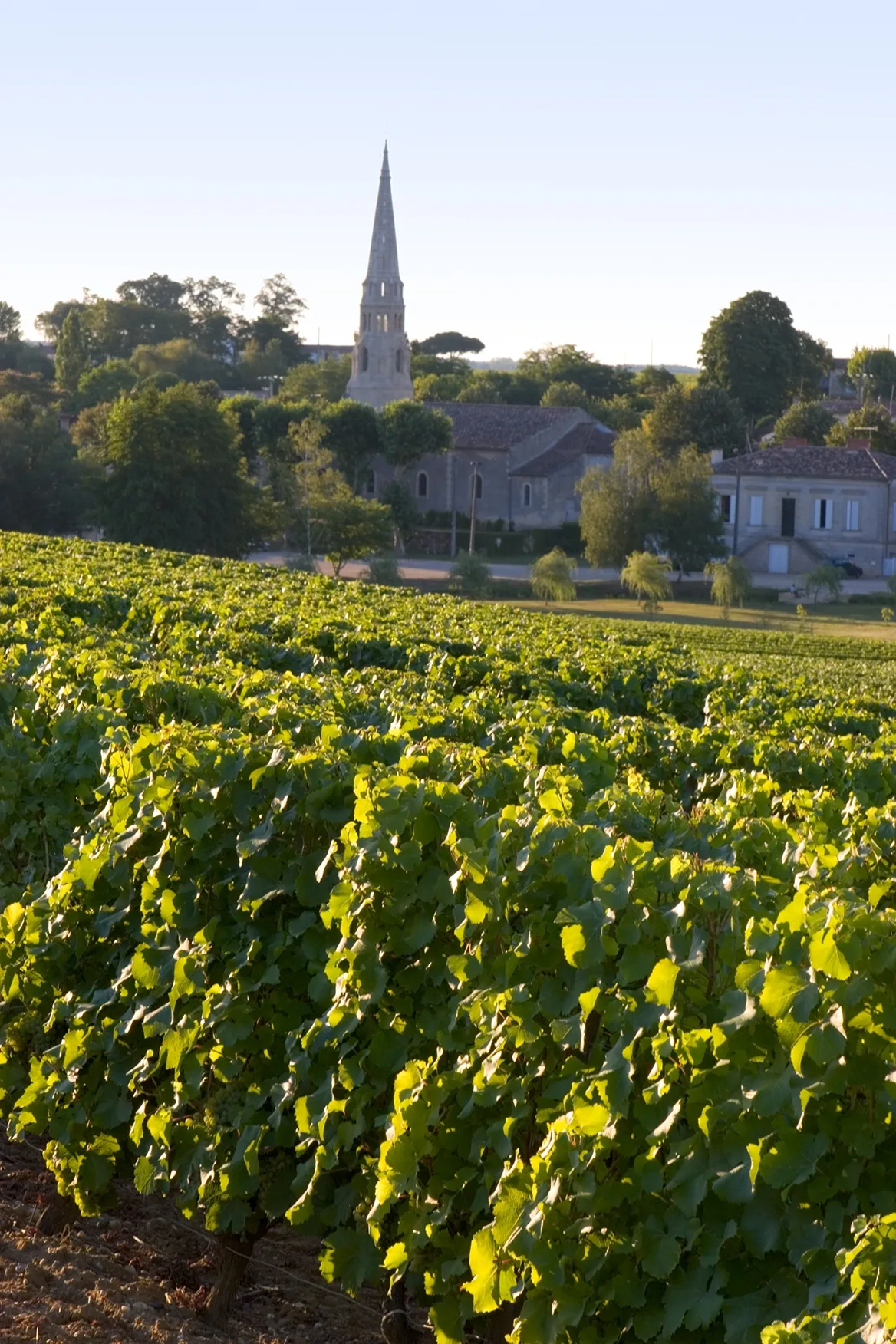 Où acheter du bon vin à St Emilion ?