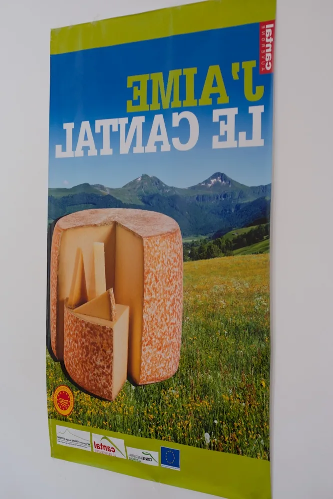 Quelle bière avec une pizza ?