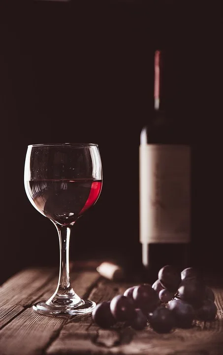 Santenay, l’appellation qui fait vibrer les amateurs de vin