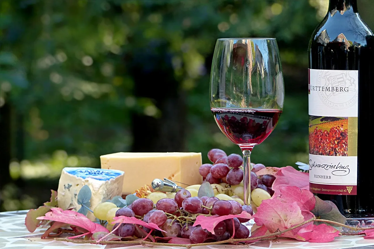 Apprendre à décrypter l’étiquette de vin : ce qu’il faut savoir pour faire le bon choix