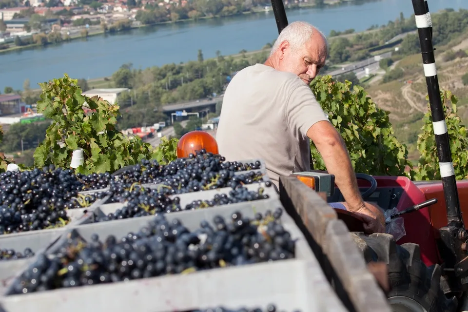 Où acheter du vin naturel à Paris ?